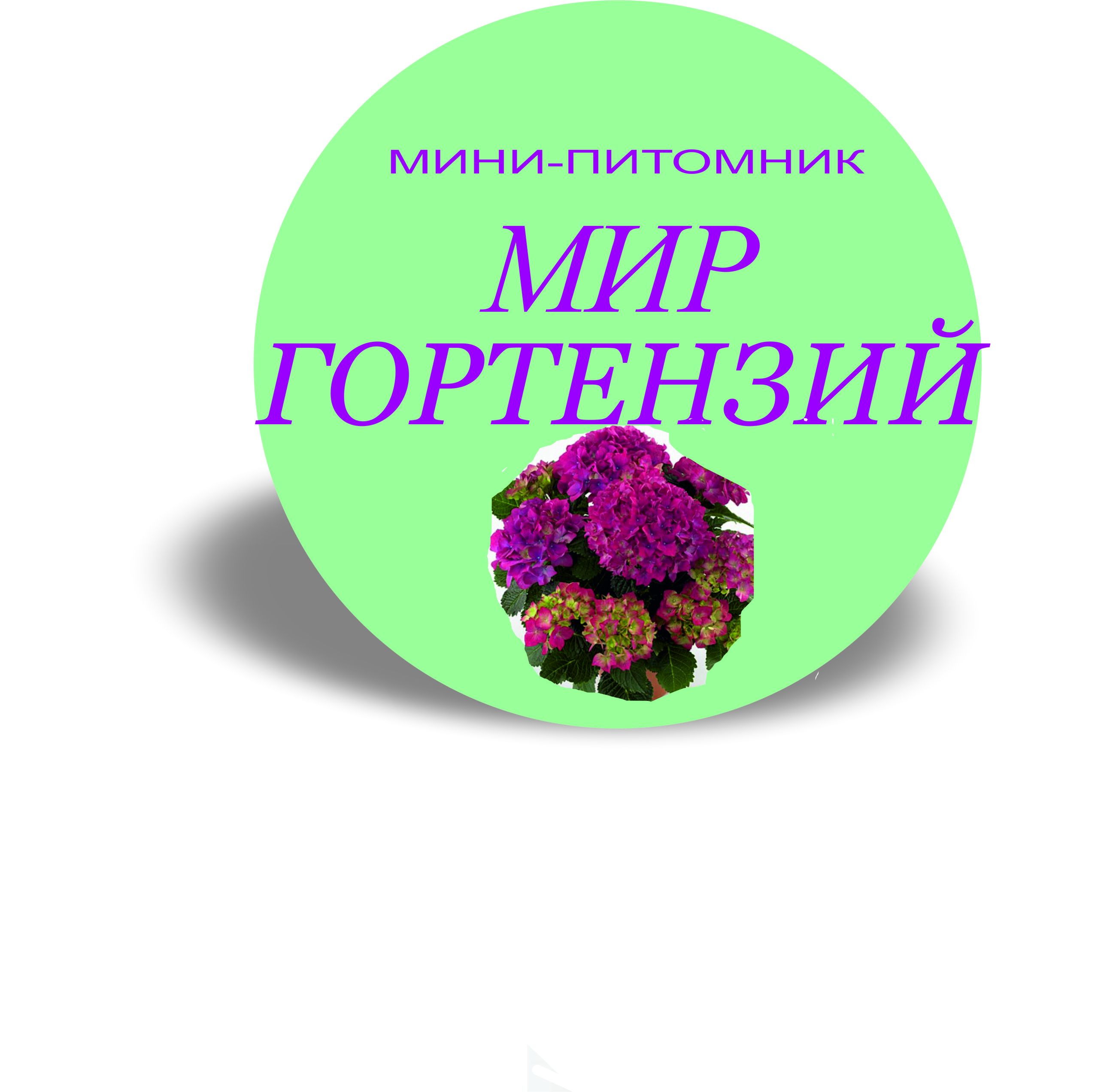 Питомник МИР гортензий 36