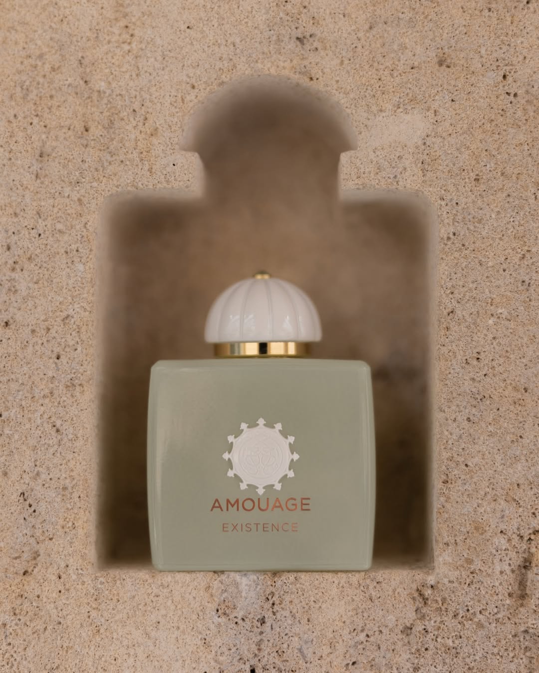 Amouage Decision and Existence. For the two fragrances, I wanted fragrance profiles that feel relatively fresh yet textured, long lasting and highly diffusive.Decision is a fresh woody arom (3).jpg