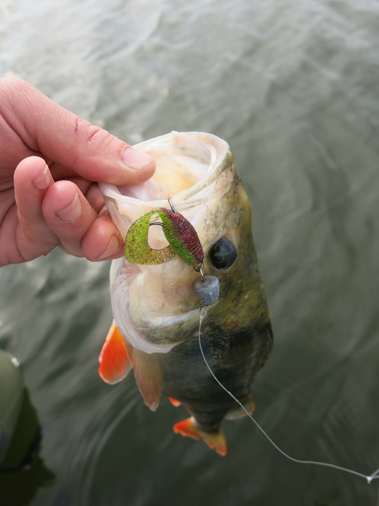 Размер крючка для джига: выбор правильного размера для рыболовной снасти