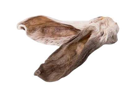 prim-img