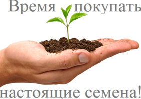 Favseeds.ru интернет-магазин редких растений
