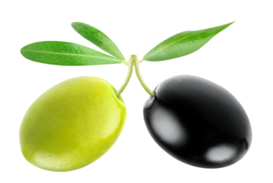 olives.png