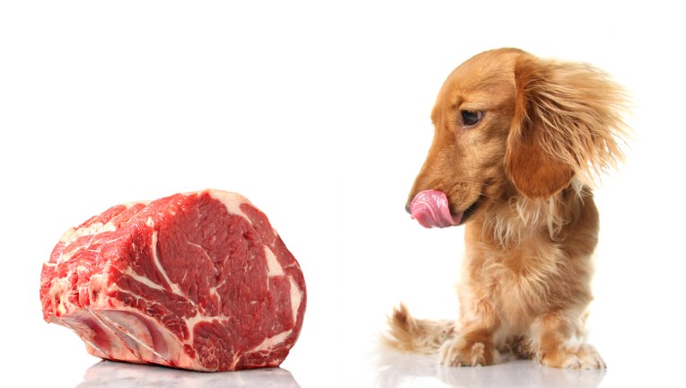 Мясо для собаки