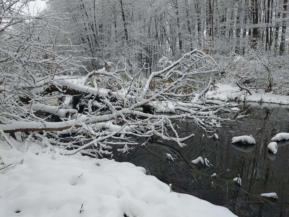 river_microjig_in_winter_001.jpg