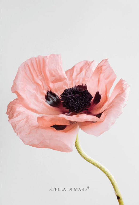 Flower #1