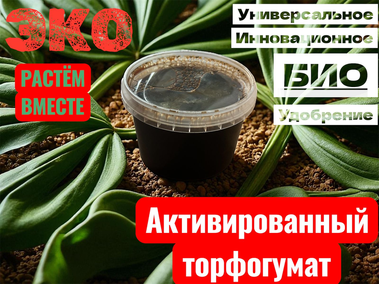 Изображение WhatsApp 2025-09-22 в 12.41.34_5d910814.jpg