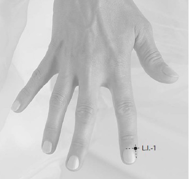 GI1 Шан-ян.jpg