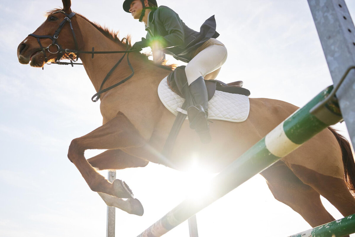 Главные опасности в конном спорте