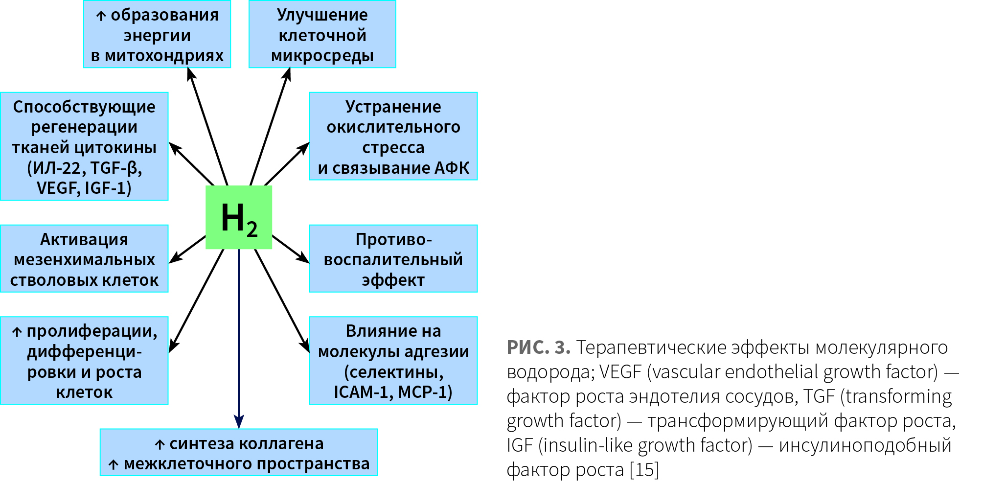 Добрянская (КИТ МЕД) КМ 3-2024_Рис 3.jpg