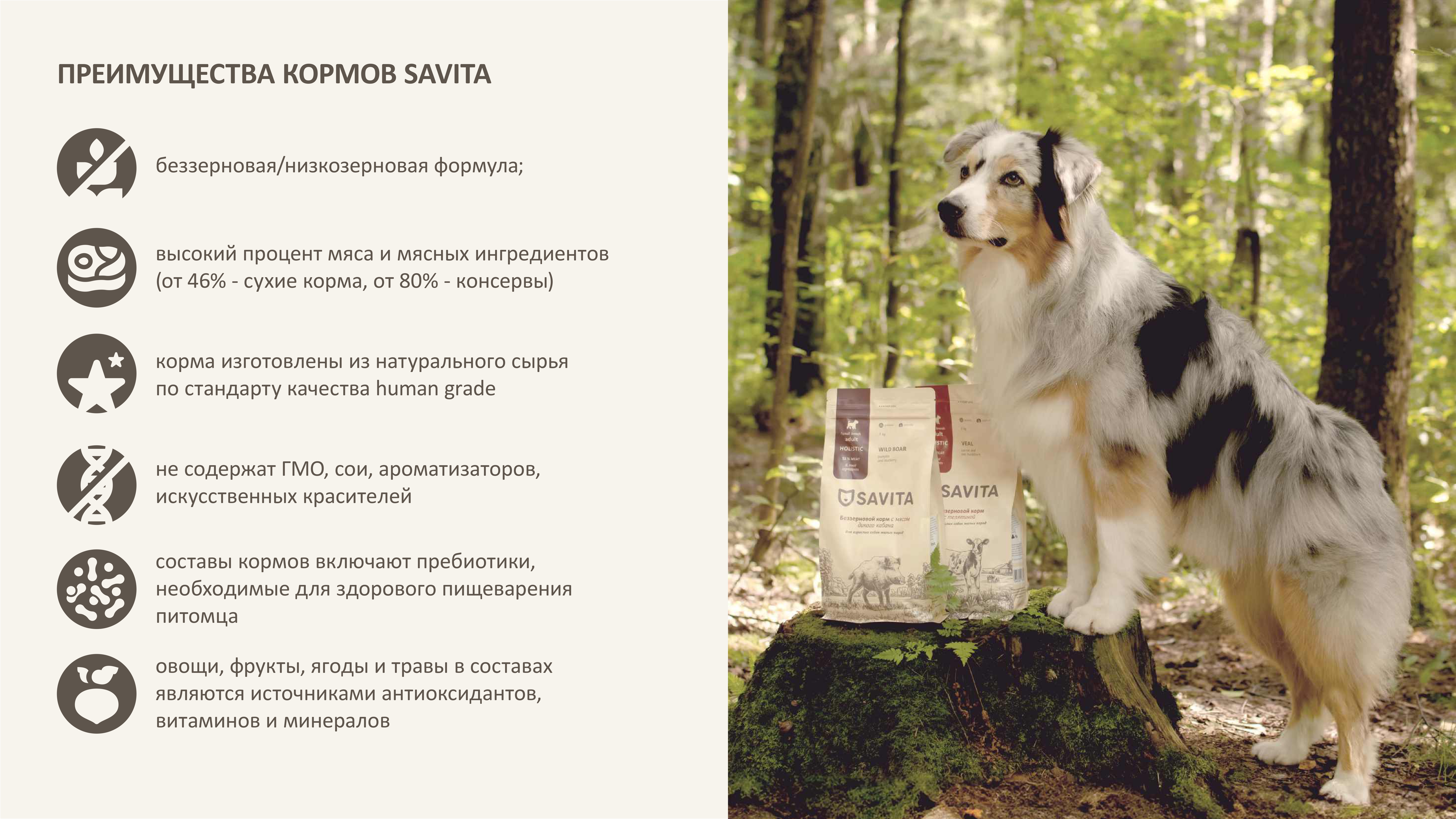 savita___page-0005.jpg
