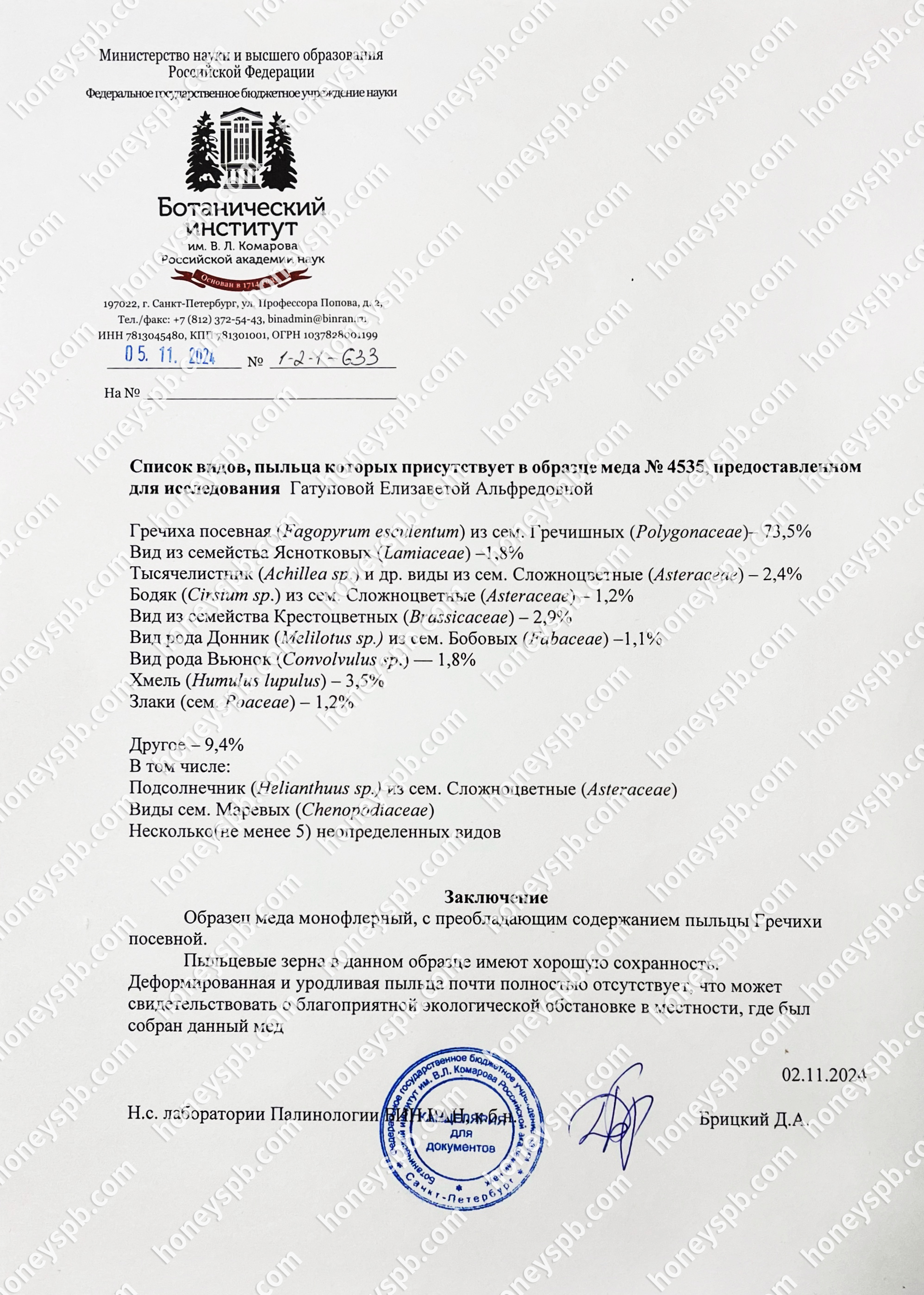 Пыльцевой гречка 2024.jpg