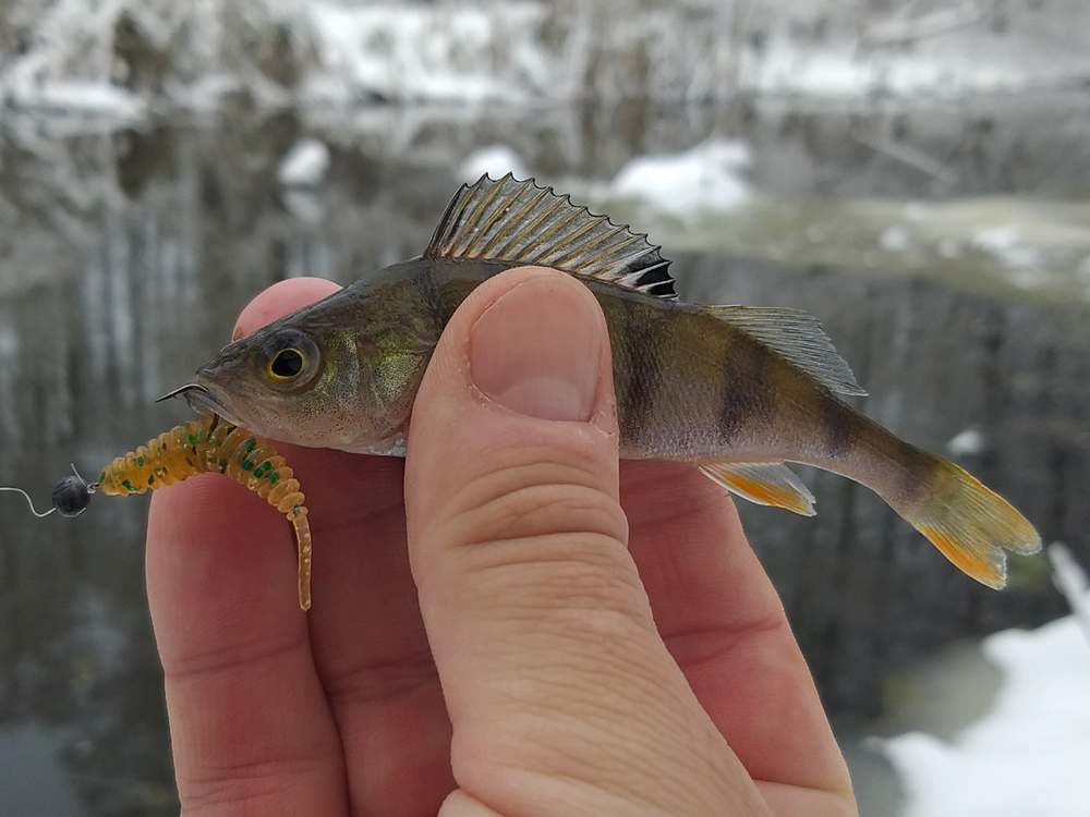 river_microjig_in_winter_003.jpg