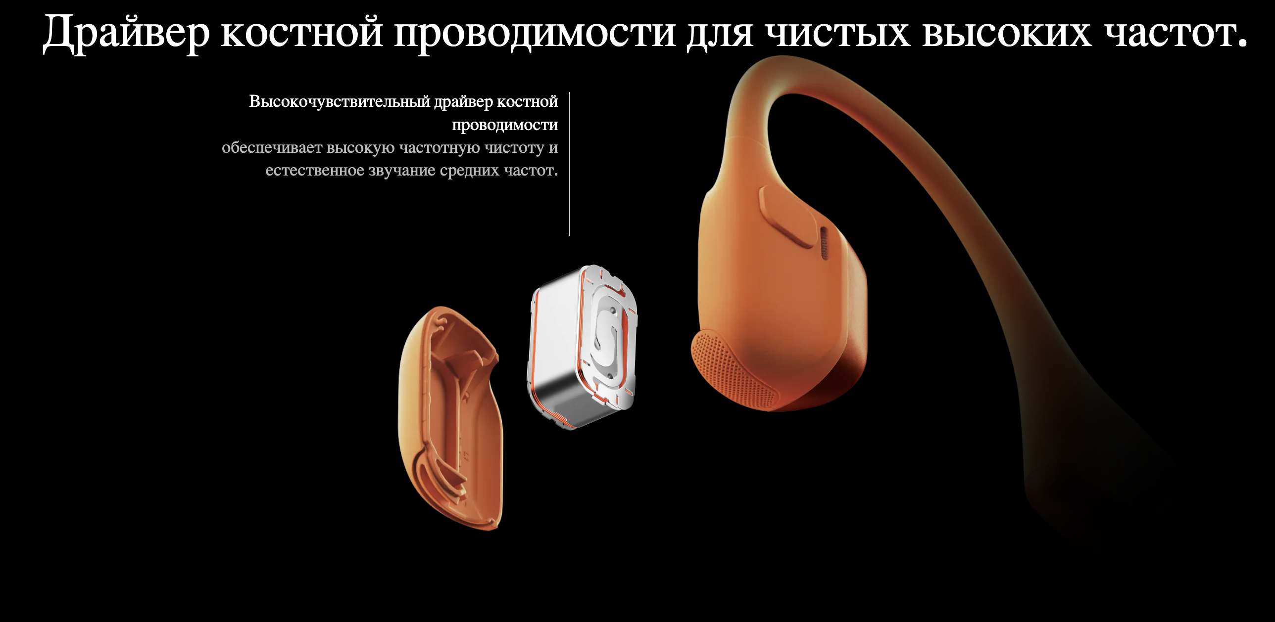 shokz 4.png