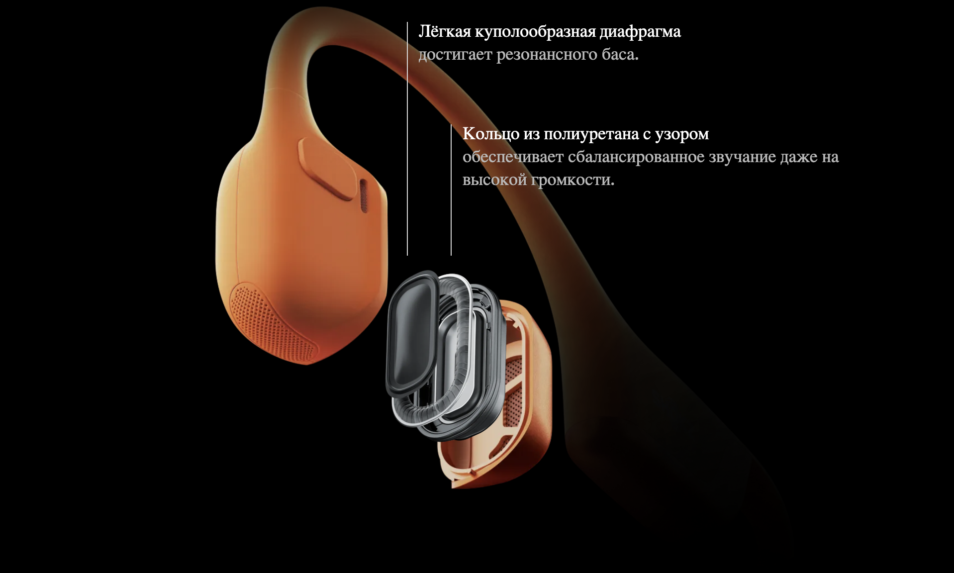 shokz 5.png