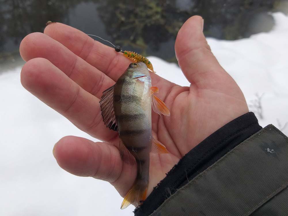 river_microjig_in_winter_004.jpg