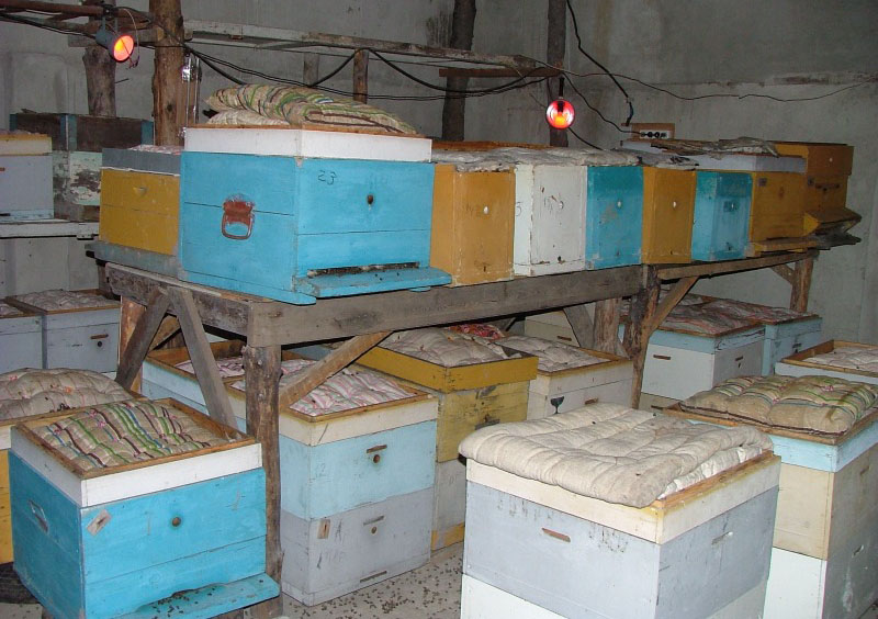 Делюсь опытом использования ульев ППС | Кубанский пчеловод | Дзен