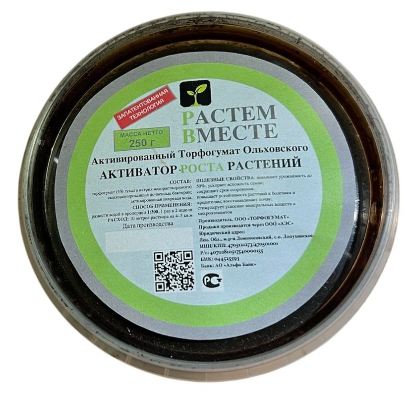 Изображение WhatsApp 2025-11-13 в 13.03.36_4ef48562.jpg