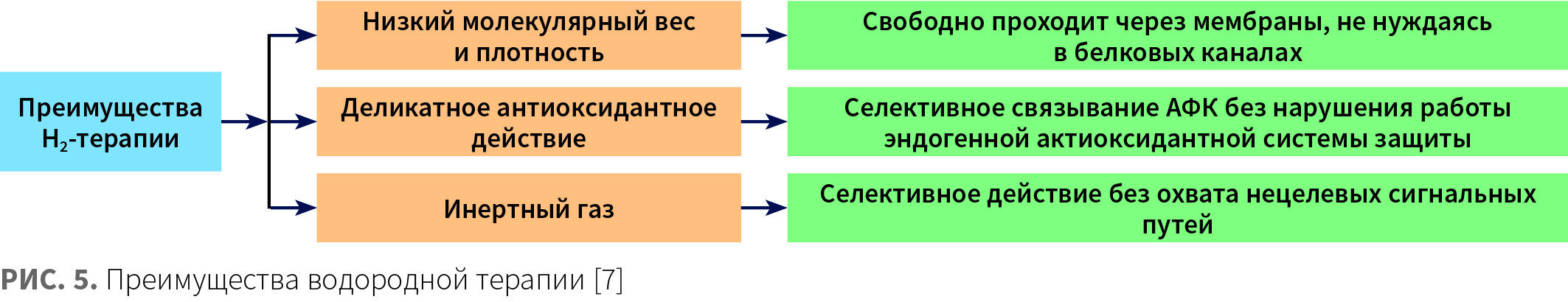 Добрянская (КИТ МЕД) КМ 3-2024_Рис 5.jpg