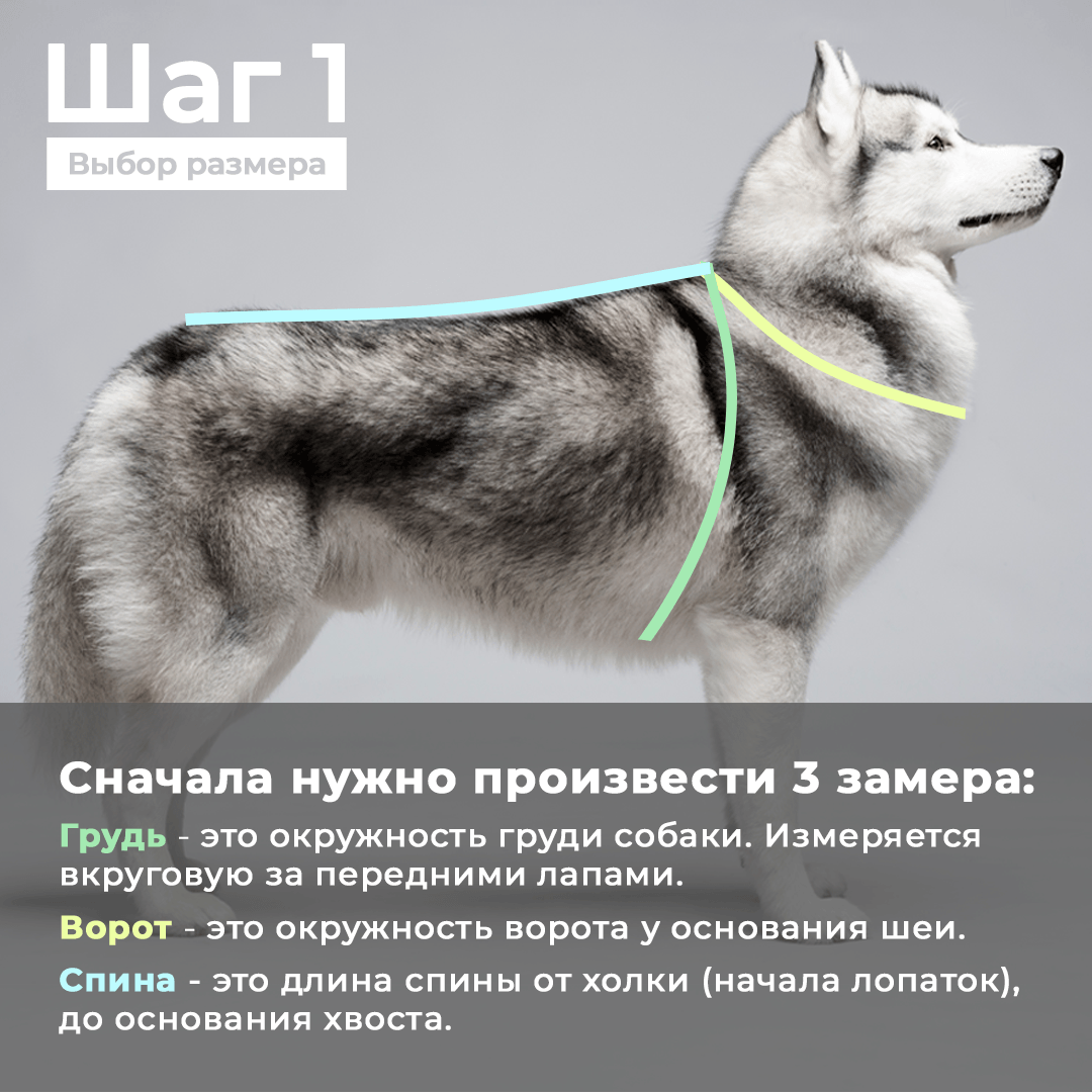 Водоотталкивающий комбинезон для собаки девочки White Wolf бежево-коричневый