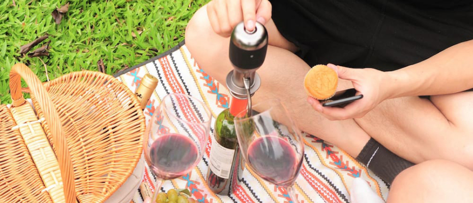 Аэратор для вина Xiaomi Vinaera Classic Electric Wine Aerator - купить ...