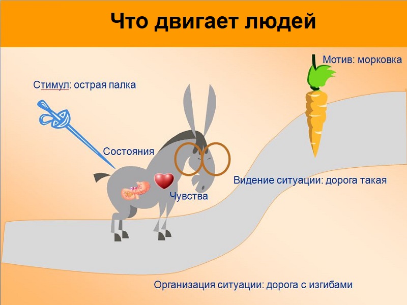 мотивация персонала