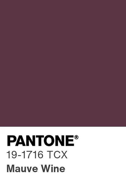 PANTONE 19-1716 TCX Mauve Wine — Винный