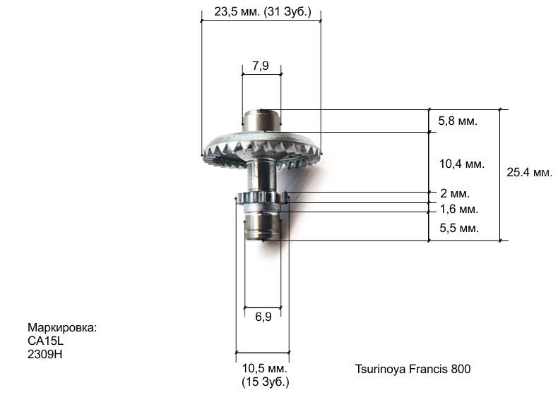 Ведущая francis 800.jpg