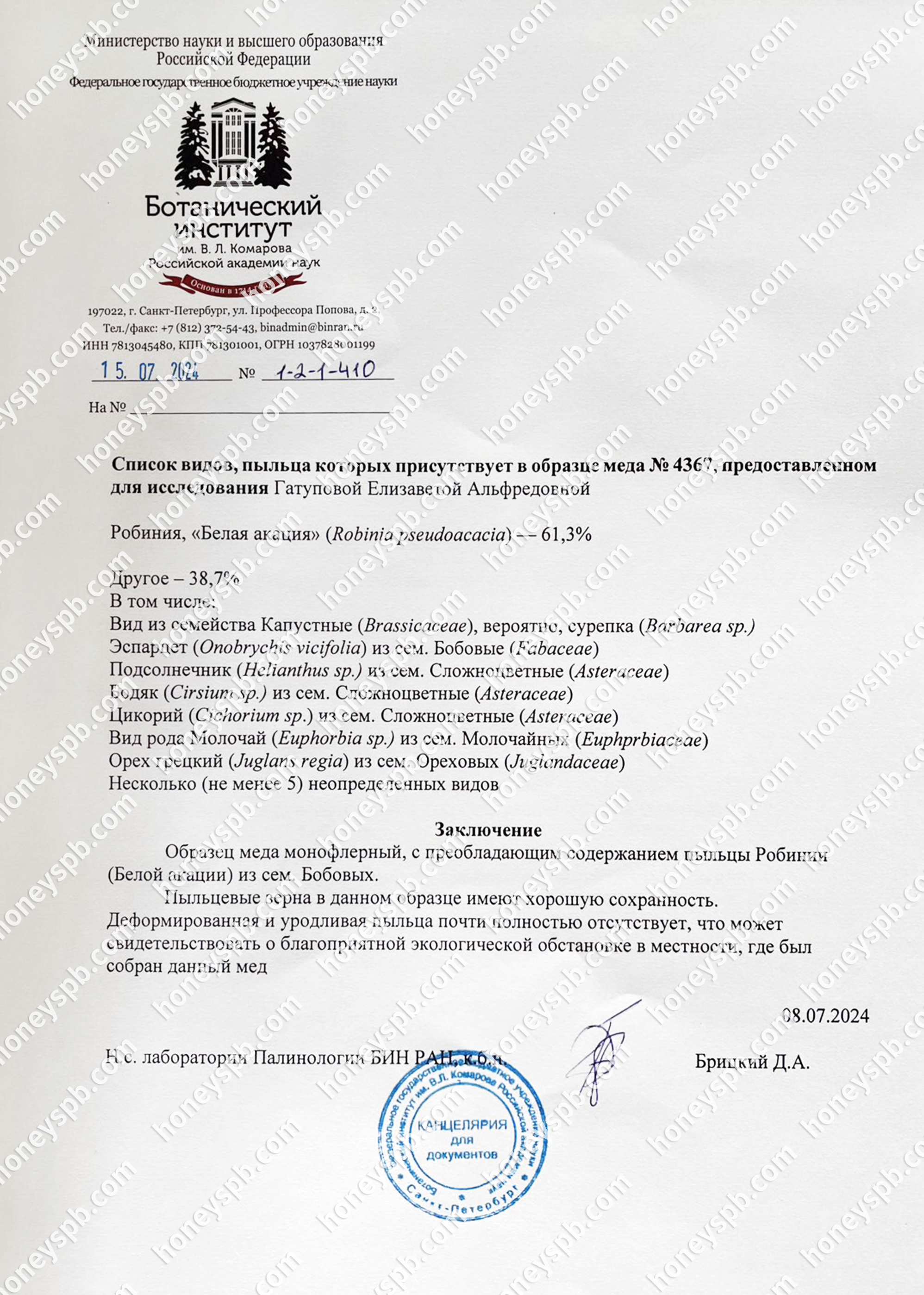 Пыльцевой акация 2024.jpg