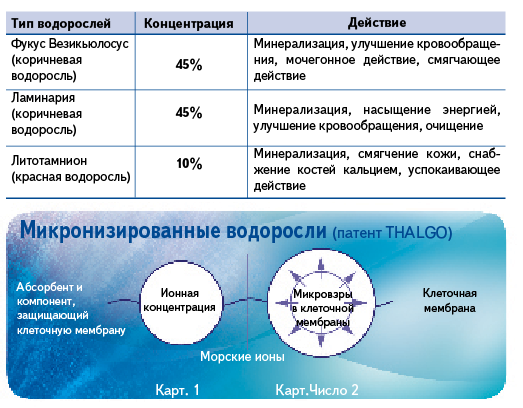 Механические ткани — Википедия