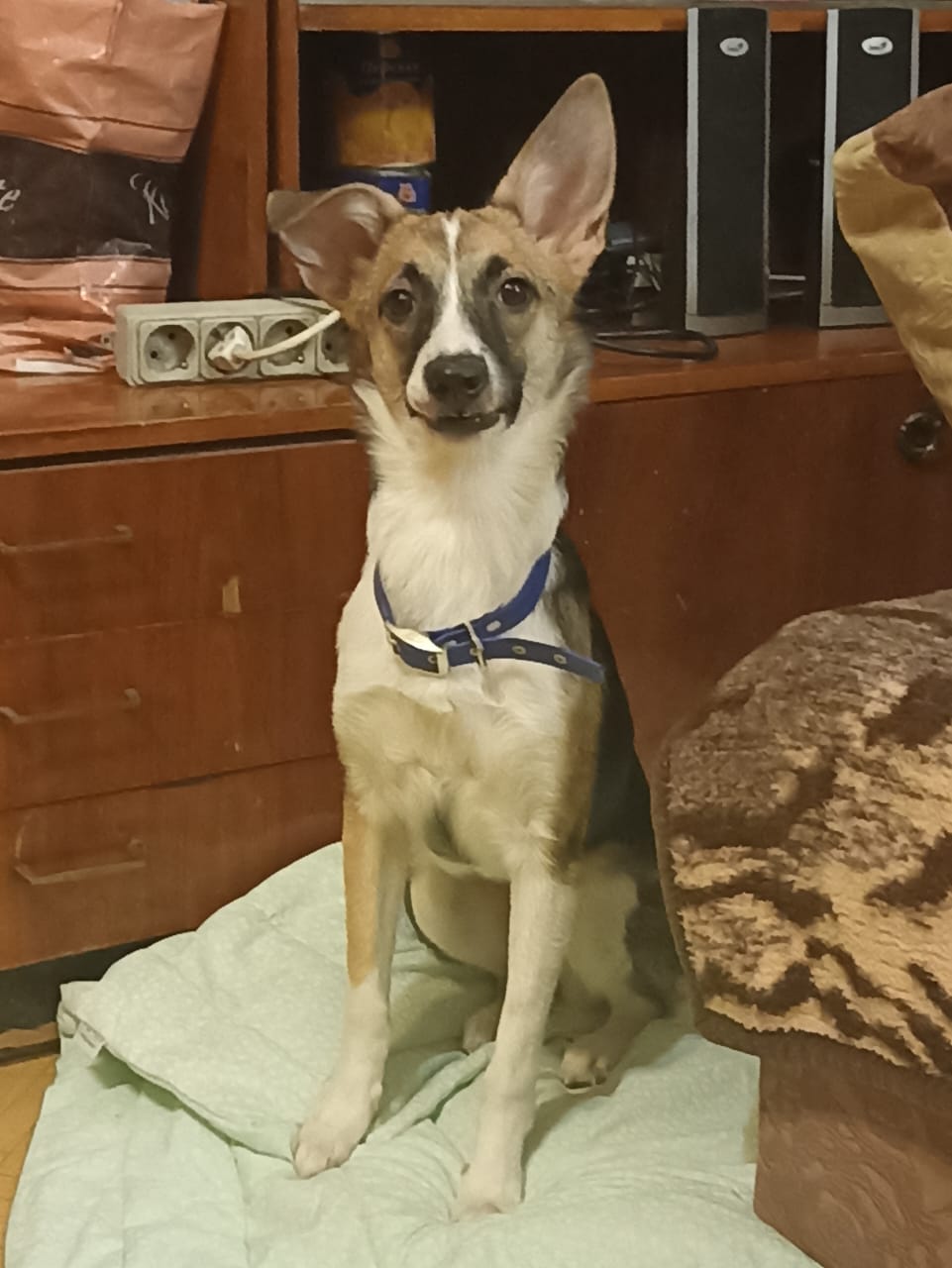 Кася стала гораздо смелее