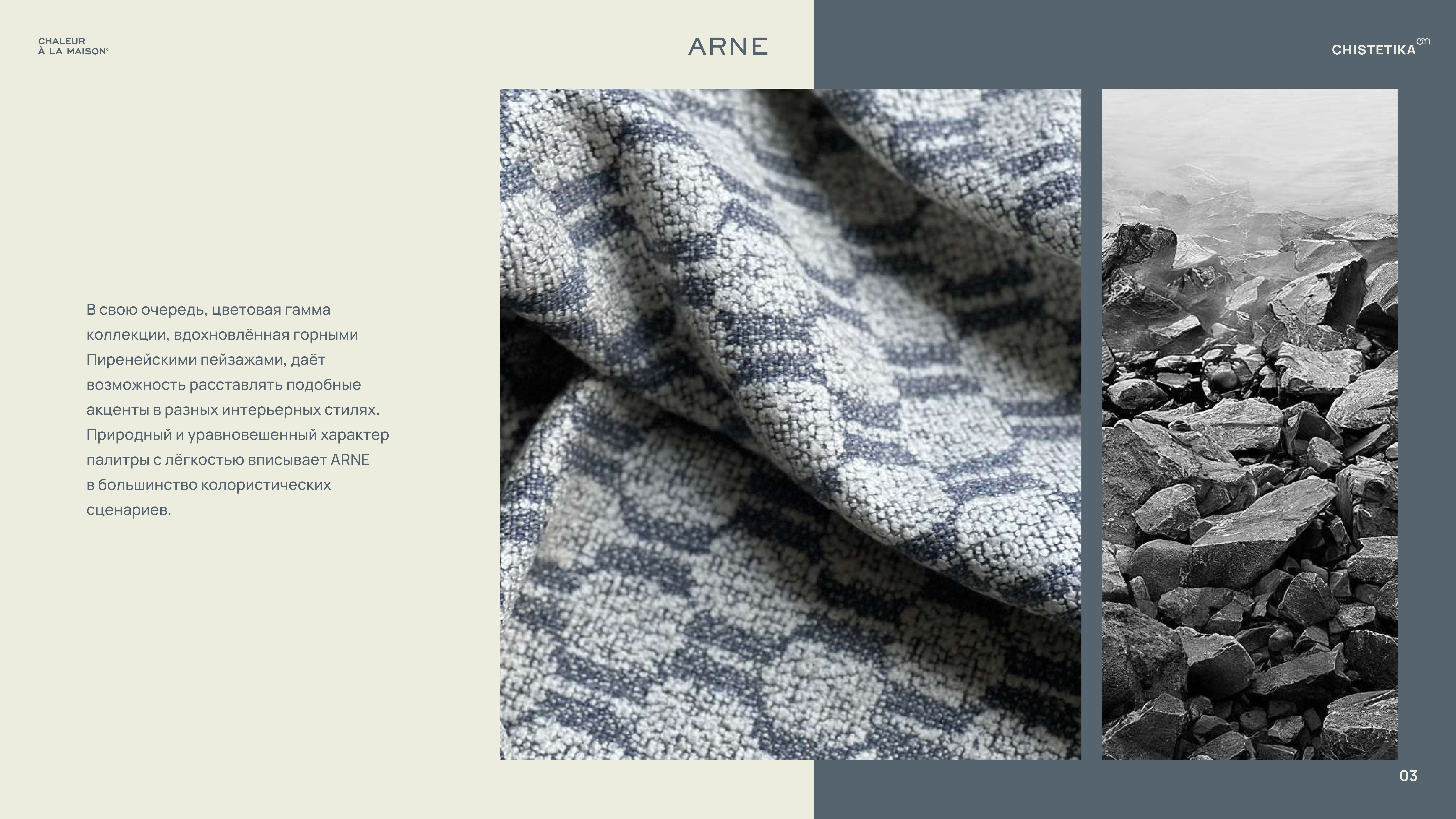 ARNE_presentation_ARNE презентация_page-0003.jpg