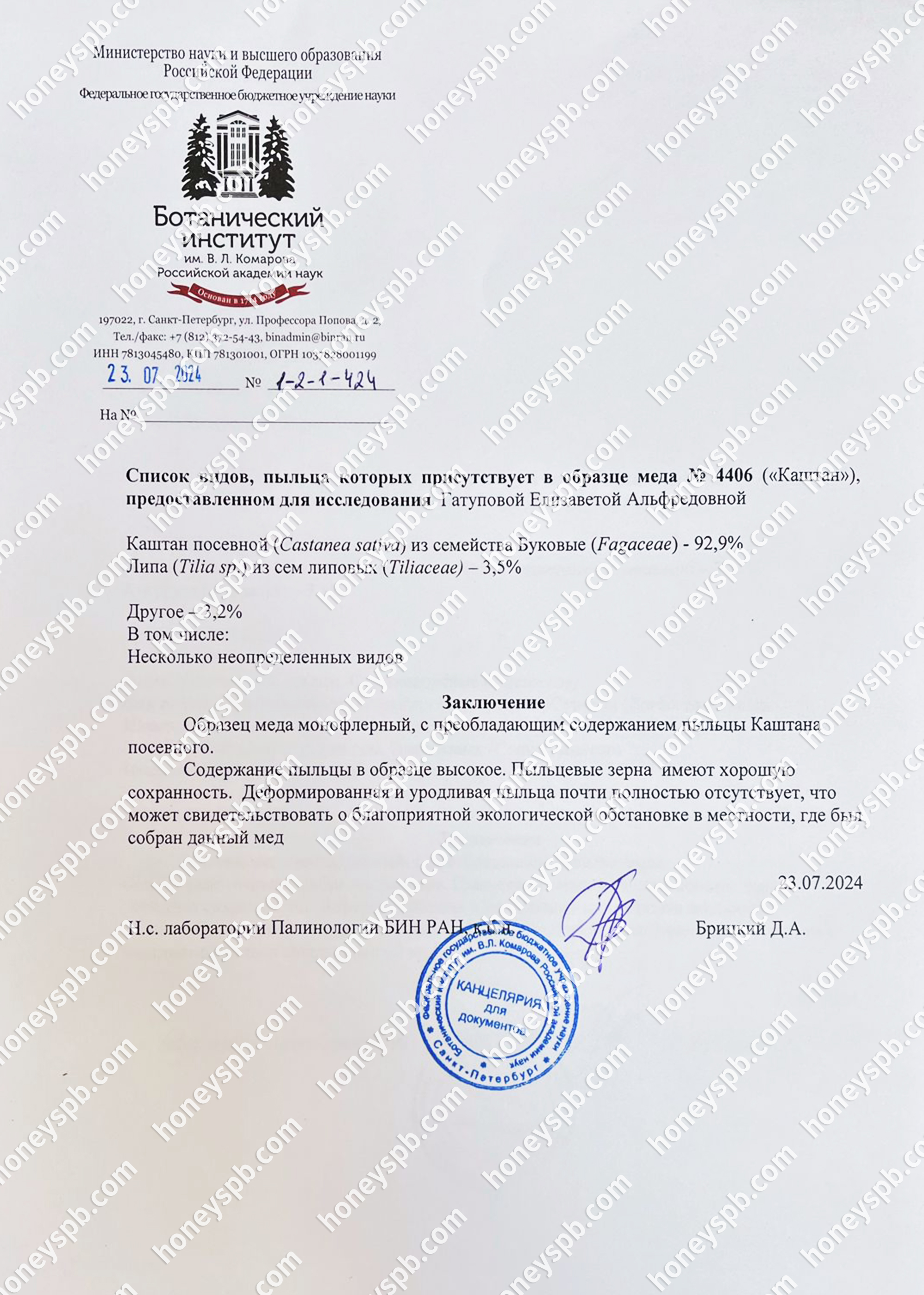 Пыльцевой каштан 2024.jpg