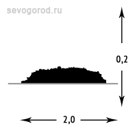 Можжевельник горизонтальный 