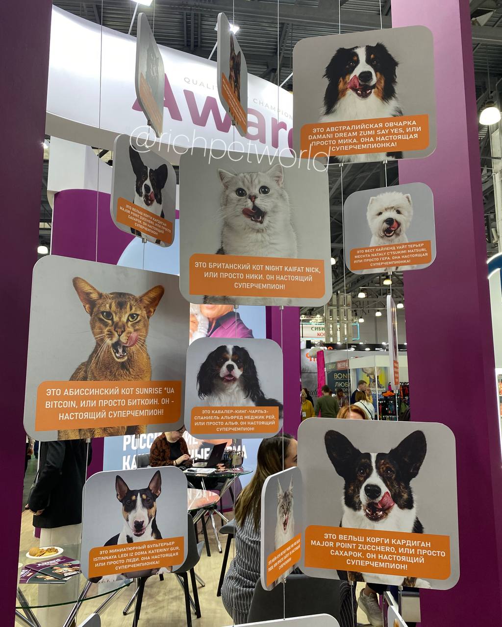 photo_2025-10-01_10-07-40 photo_2025-10-01_10-07-40.jpg