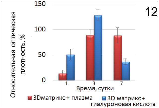 12 Пролиферативная активность фибробластов человека в присутствии препарата на основе гиалуронана на коллагеновом 3D-матриксе и активированной плазмы на коллагеновом 3D-матриксе.png