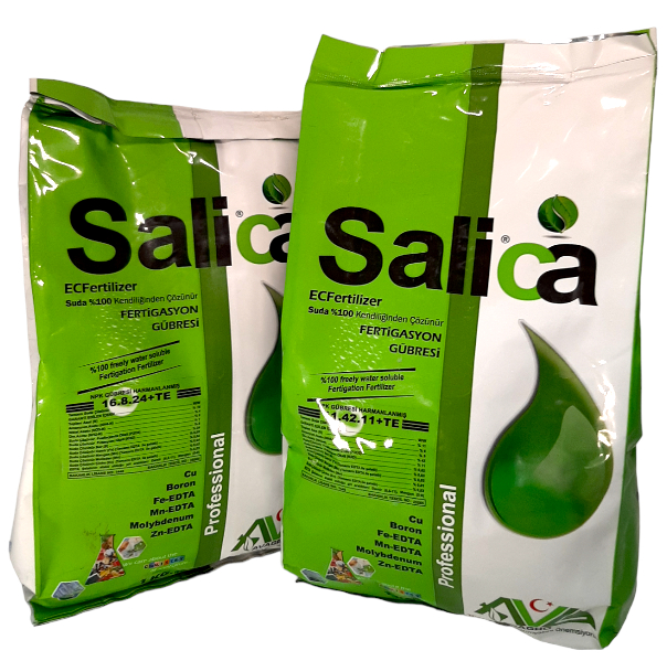 Salica