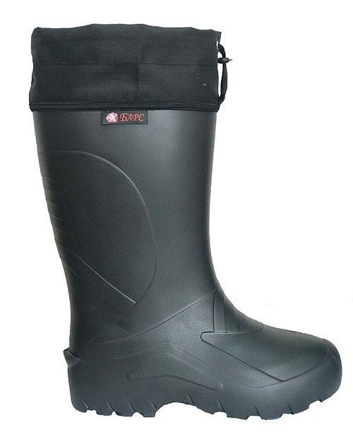 барс.jpeg барс.jpeg