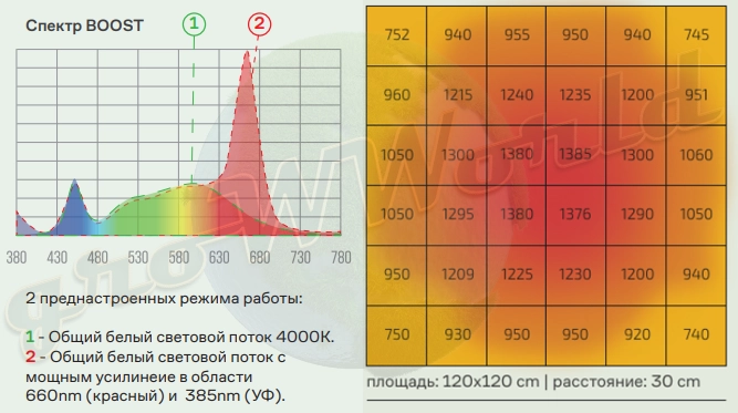 Boost Спектр + Пар 30.webp