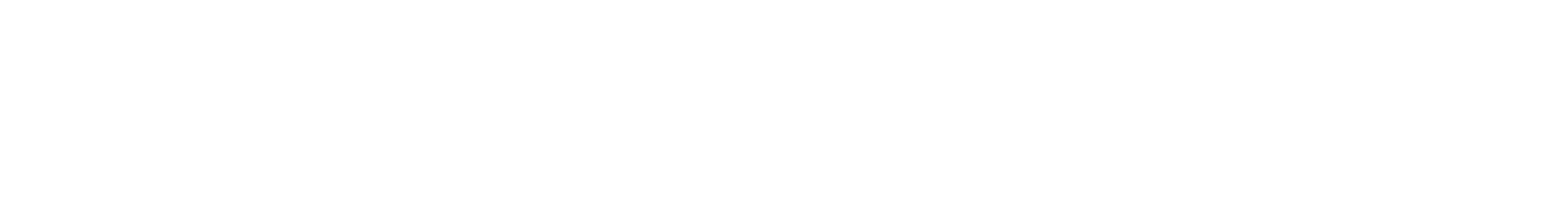 Diego dalla Palma Professional