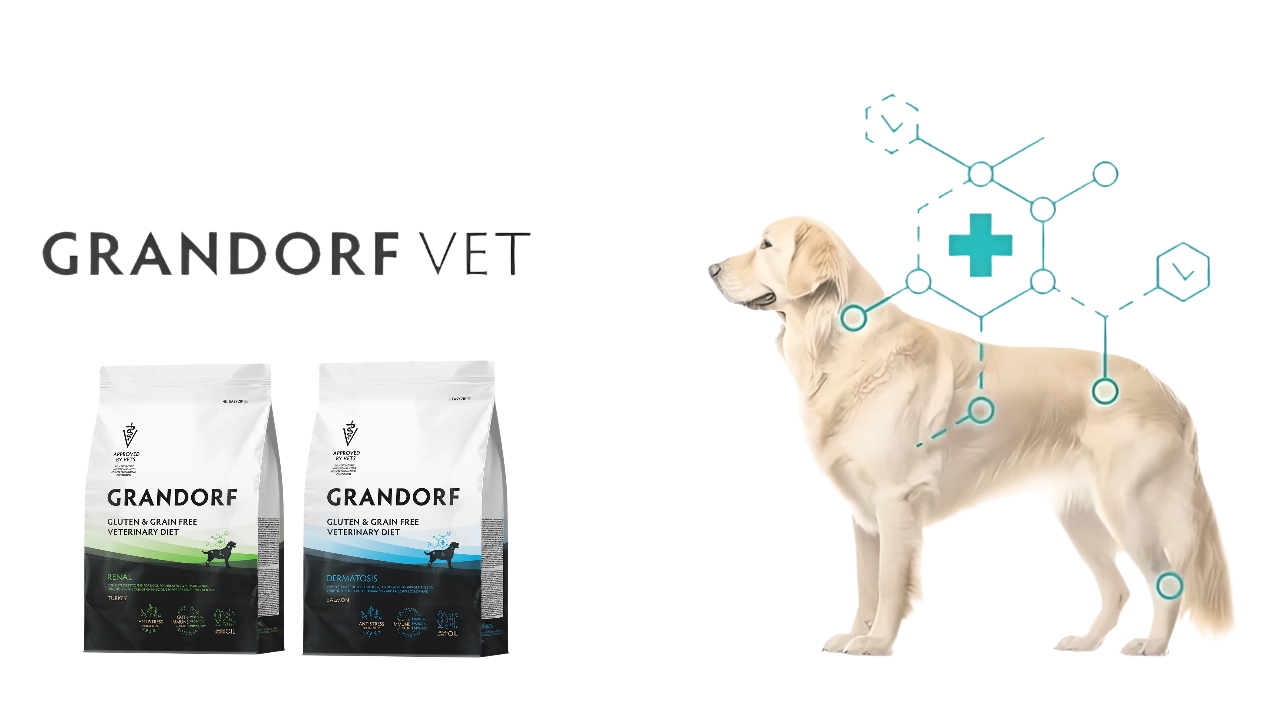 Креатив без названия.png