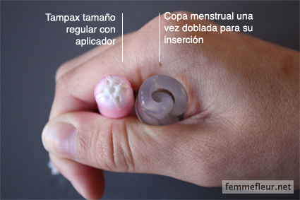 sizes_Cup_and_tampon.jpg