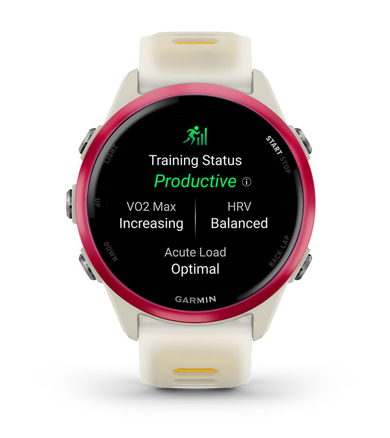 Умные часы Garmin Forerunner 570 - 42 мм сланцево-серый алюминий с черным ремешком: ТРЕНИРОВОЧНЫЙ СТАТУС