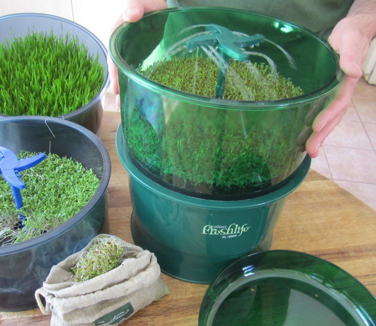 Tribest FL 3000 - версия для США