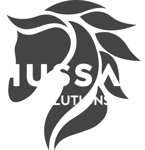 Hussar_Solution.png