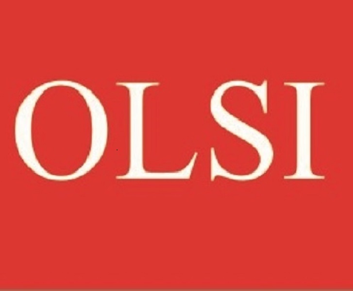 OLSI женская одежда больших размеров