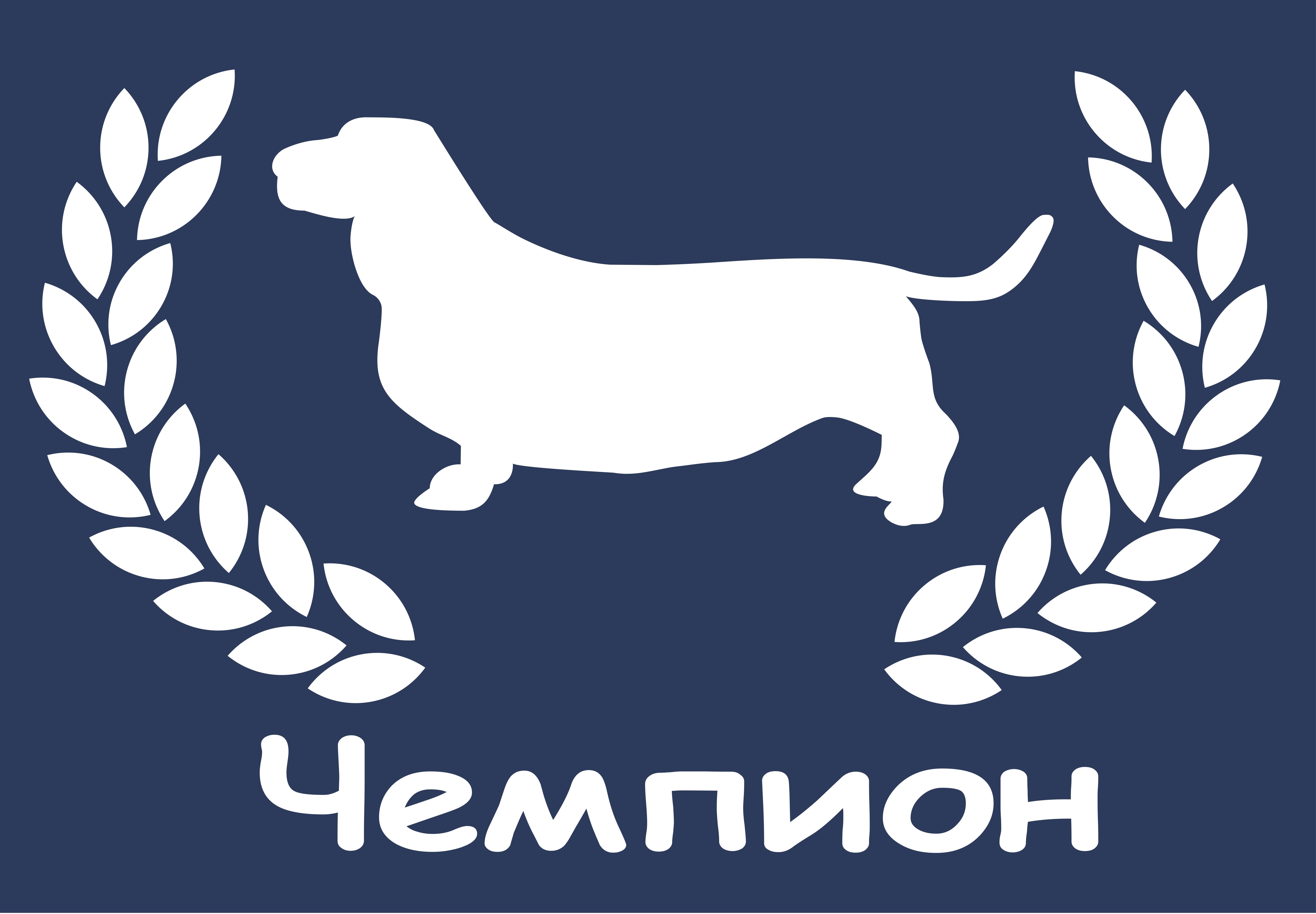 Чемпион