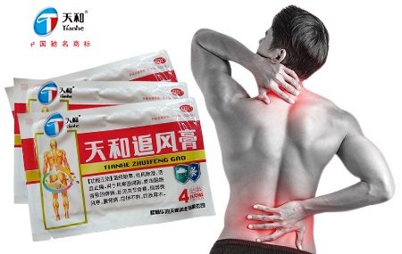 Пластырь китайский TIANHE ZHUIFENG GAO  от болей в суставах 