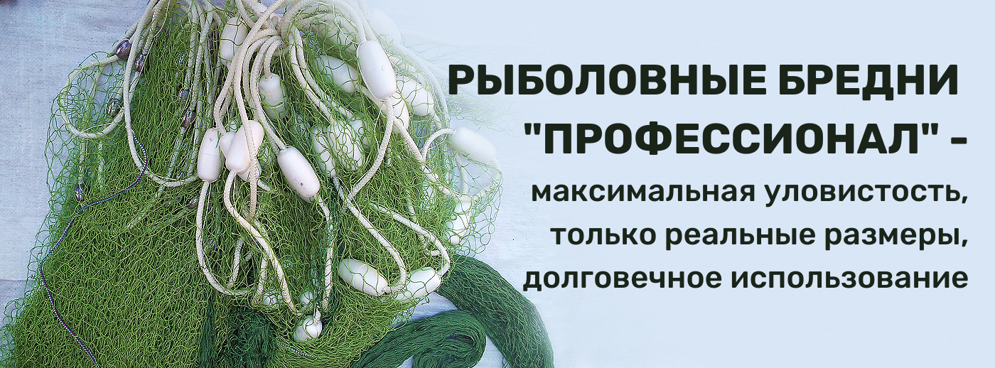 бабкины бредни дзен канал