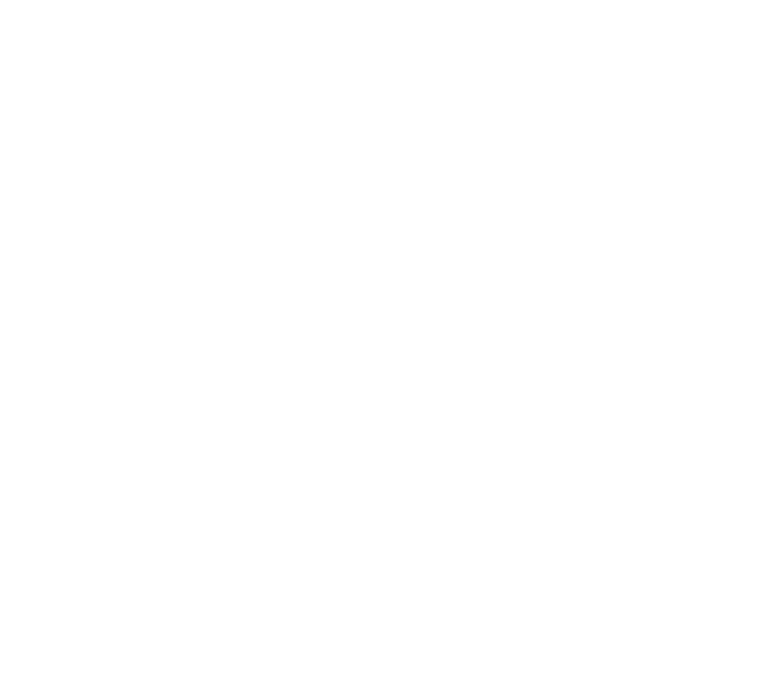 Верные Решения