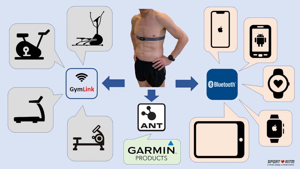 Инфографика: возможности подключения нагрудного пульсометра